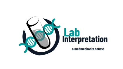 Product image for Lab Interpretation