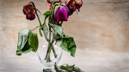 Product image for Coping with Grief & Loss