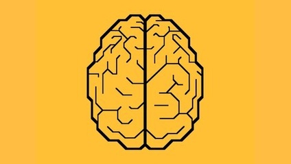 Product image for Learn Social Engineering From Scratch