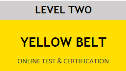 Product image for Lean Six Sigma Yellow Belt