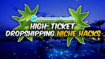 Product image for High-Ticket Drop Shipping Niche Hacks
