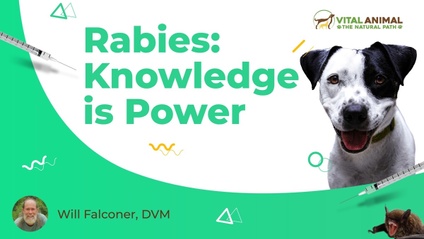 Product image for Rabies: Knowledge is Power