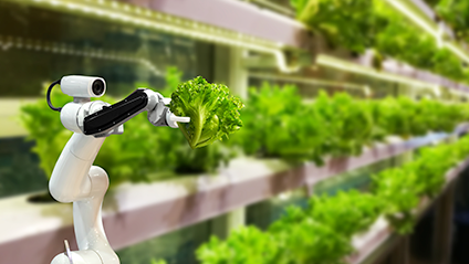 Product image for Artificial Intelligence (AI) in the Food Supply Chain