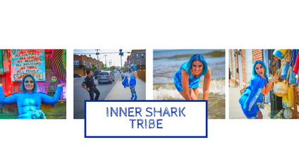 Product image for Inner Shark Tribe - Starting in January!