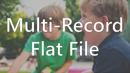 Product image for MultiRecord Flat Files