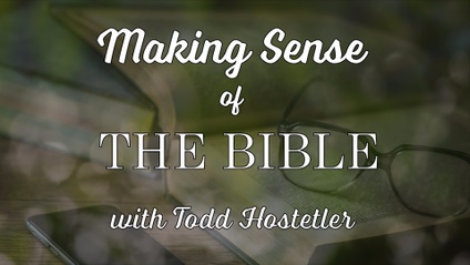 Product image for Making Sense of the Bible