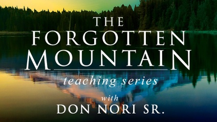 Product image for The Forgotten Mountain