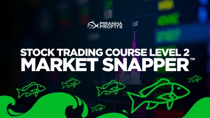 Product image for Stock Trading Course Level 2: Market Snapper™