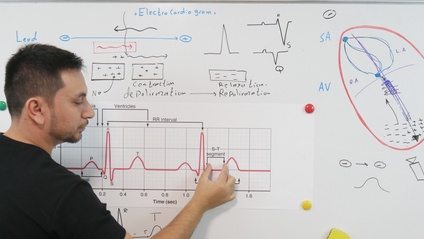 Product image for ECG-تخطيط القلب