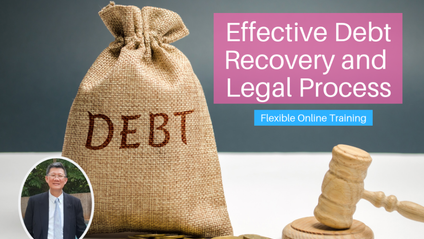 Product image for (English) Effective Debt Recovery and Legal Process by Dr. Steven Liew