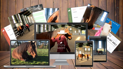 Product image for Dancing at Liberty & Creating Connection with Your Horse (11 lessons) - Grey Pony Films  (with 36 months access)