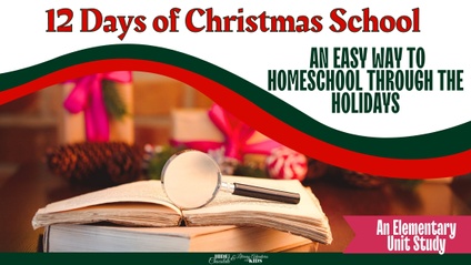 Product image for The 12 Days of Christmas School