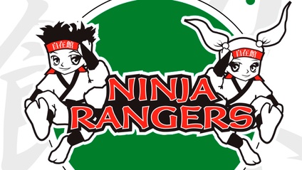 Product image for Ninja Rangers Camo/Green Belt Curriculum