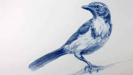 Product image for The Art & Science of Drawing: The Complete Series