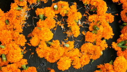 Product image for Flower Making Workshop with America Madrigal-Herrera