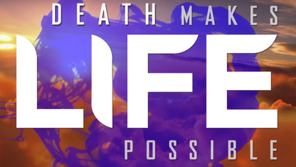 Product image for Death Makes Life Possible