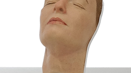 Product image for Facial Mannequin Training Program