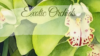Product image for 2. Exotic Orchids Masterclass Series