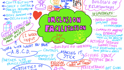 Product image for Inclusion Facilitator  - the newly surprising and inspiring role