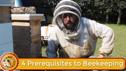 Product image for 4 Prerequisites to Beekeeping
