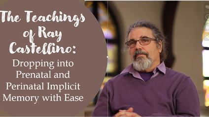 Product image for The Teachings of Ray Castellino 