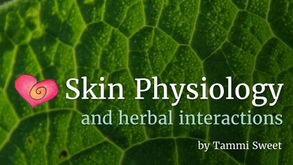 Product image for Skin Physiology and Herbal Interactions