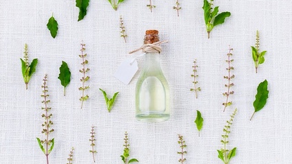 Product image for Using Herbal Medicines to Modify the Microbiota