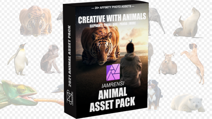 Product image for Creative With Animals | ASSET PACK