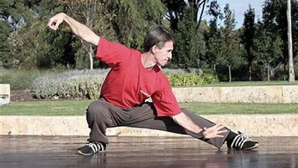 Product image for Sun Style Tai Chi for Arthritis