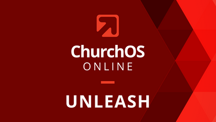 Product image for The Unleash Experience