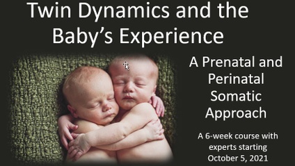 Product image for Twin Dynamics and The Baby’s Experience
