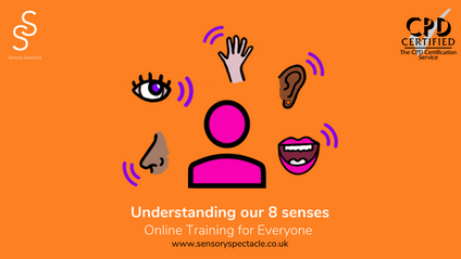 Product image for Understanding our 8 senses (CPD certified)