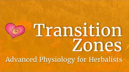 Product image for Transition Zones Bundle : Advanced Physiology