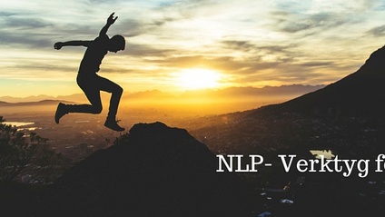 Product image for Kommunikativt ledarskap NLP