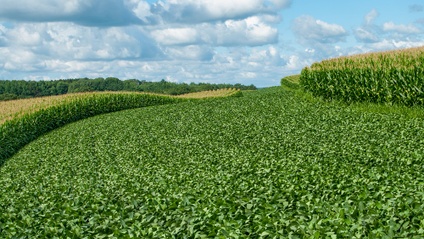 Product image for Getting Your Organic Certification