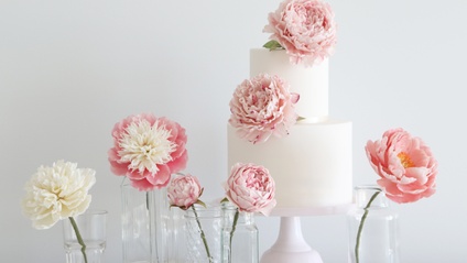 Product image for Pretty Sugar Peonies