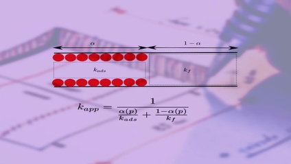 Product image for An Analytical Model for Shale Gas Permeability