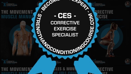 Product image for MOVEMENT MASTERY