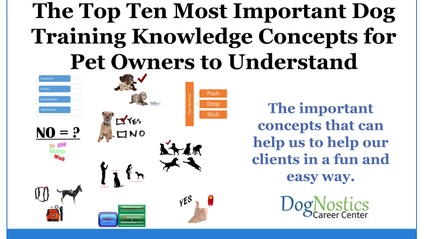 Product image for The Critical Top Ten Training Concepts!