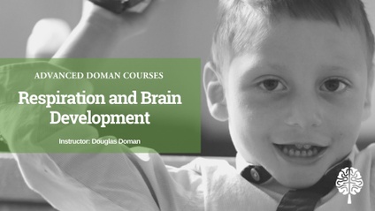 Product image for Respiration and Brain Development [English]