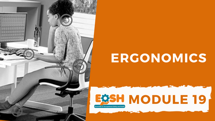 Product image for Ergonomics