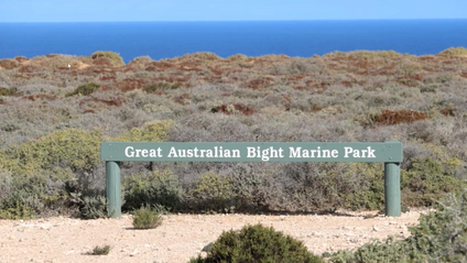 Product image for Tectonic evolution of the Bight Basin and implications for prospectivity of the Ceduna Delta
