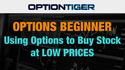 Product image for Use Options to Buy Stock at Low Prices