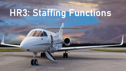 Product image for HR3: Staffing Functions