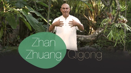 Product image for Introduction Course for the Zhan Zhuang Qigong System