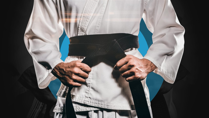 Product image for THE BELT SYSTEM