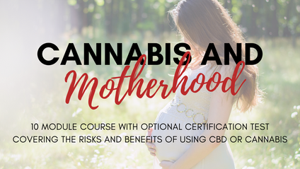 Product image for Cannabis and Motherhood