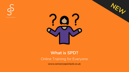 Product image for What is Sensory Processing Disorder?