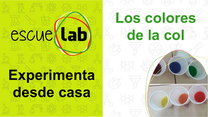 Product image for Los colores de la col
