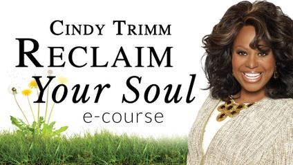 Product image for Reclaim Your Soul